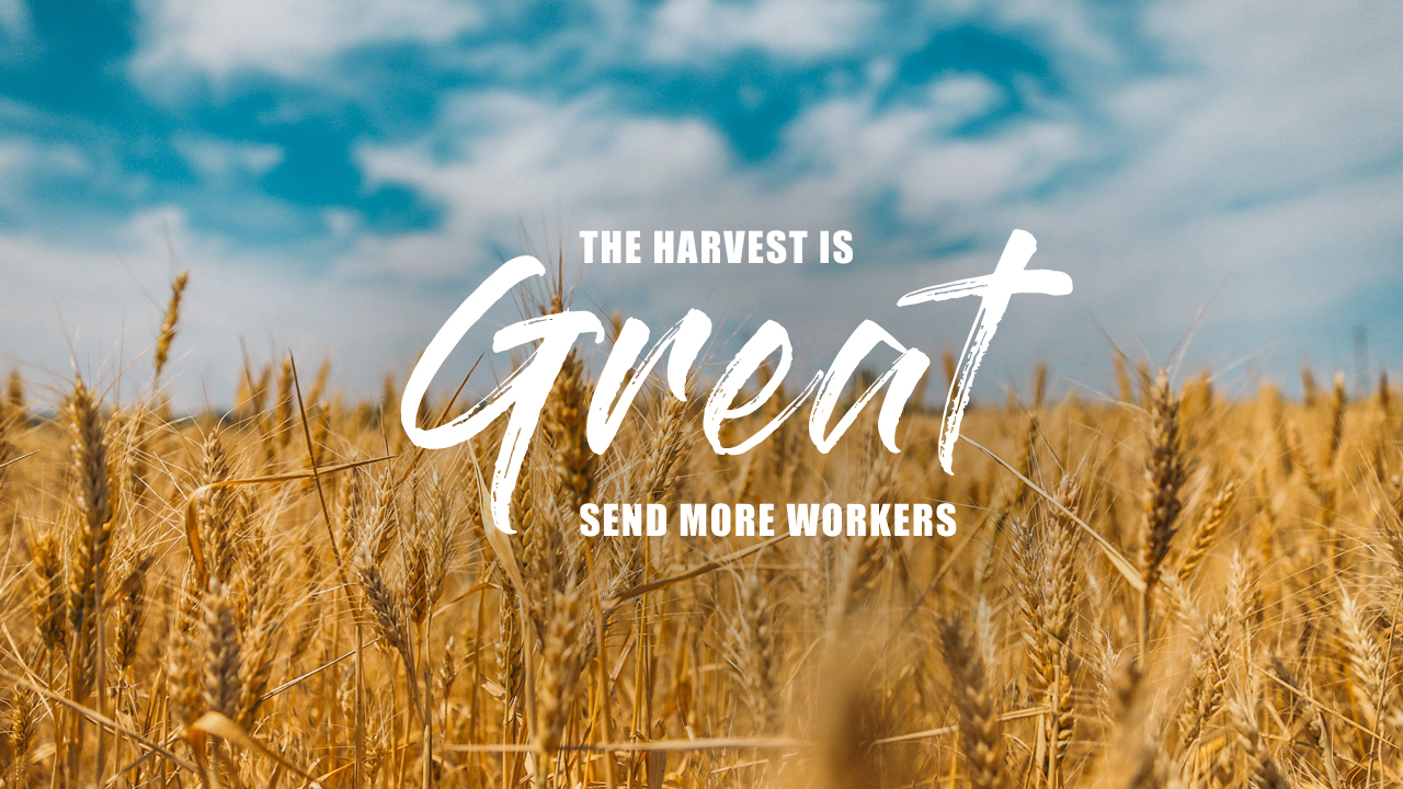 workers in teh harvest meaning