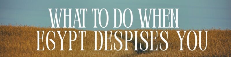 What To Do When Egypt Despises You